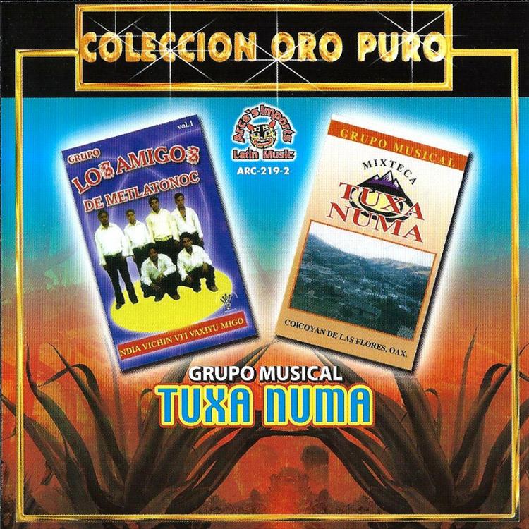 Grupo Musical Tuxa Numa's avatar image