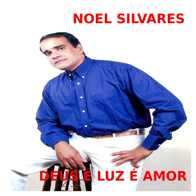 Noel Silvares's avatar image