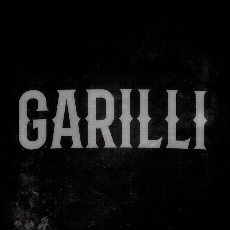 Dario Garilli's avatar image