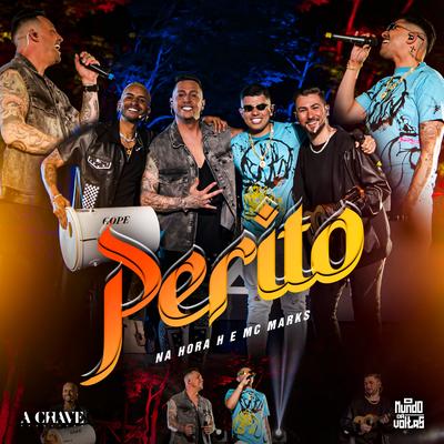 Perito By Na Hora H, MC Marks's cover