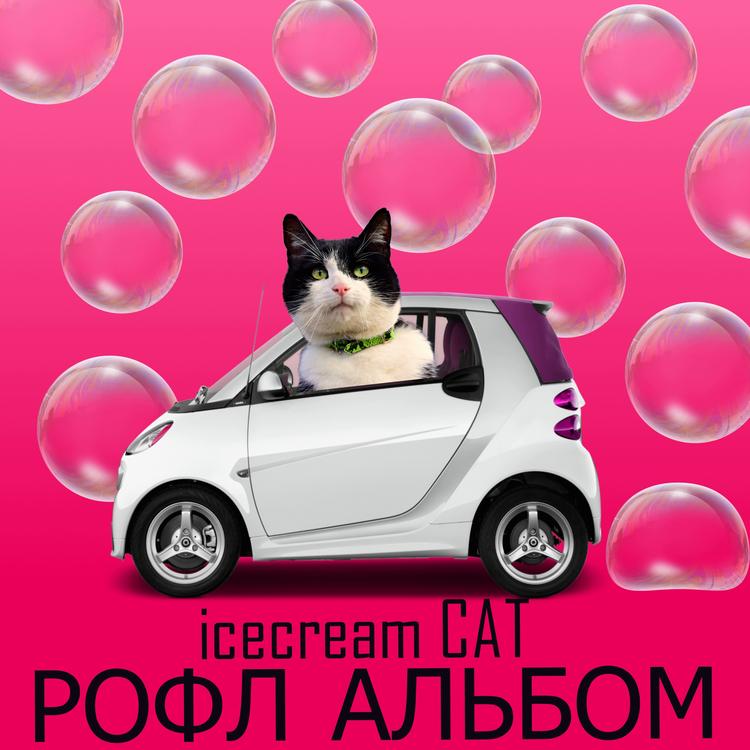 icecream CAT's avatar image