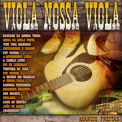 Vide Vida Marvada (Instrumental) By Marcio Freitas's cover
