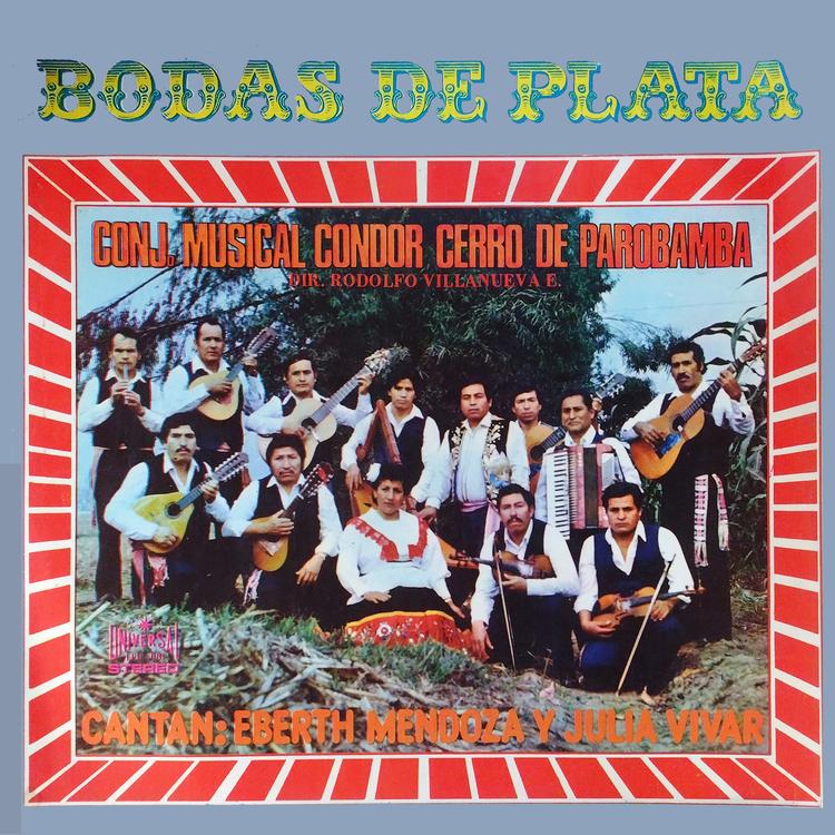 Conjunto Musical Condor Cerro de Parobamba's avatar image