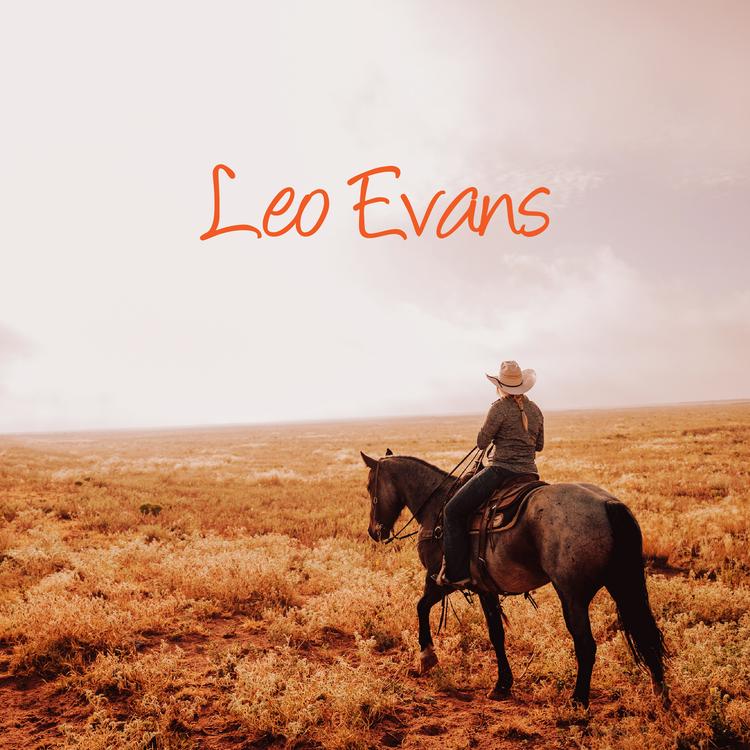 Leo Evans's avatar image