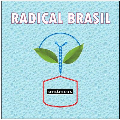 A Vida Não É Ficção By Radical Brasil's cover