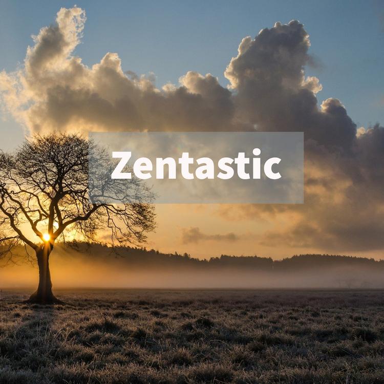 Zentastic's avatar image