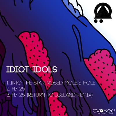 Idiot Idols's cover