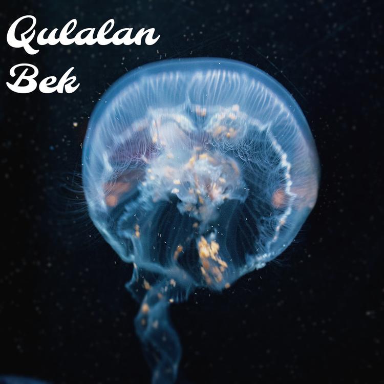 Qulalan's avatar image