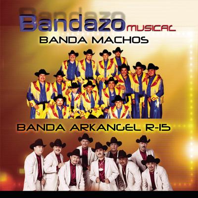 Voy a Pintar Mi Raya By Banda Arkangel R-15's cover