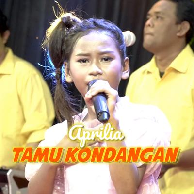 Tamu Kondangan's cover