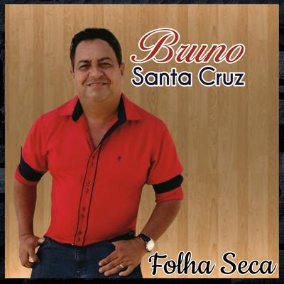Bruno Santa Cruz's cover