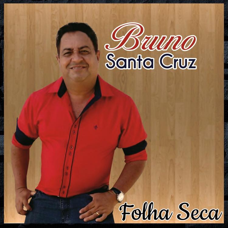 Bruno Santa Cruz's avatar image