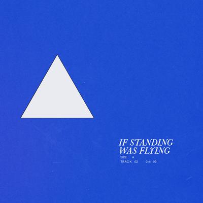 If Standing Was Flying's cover