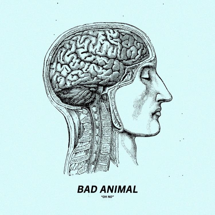 Bad Animal's avatar image