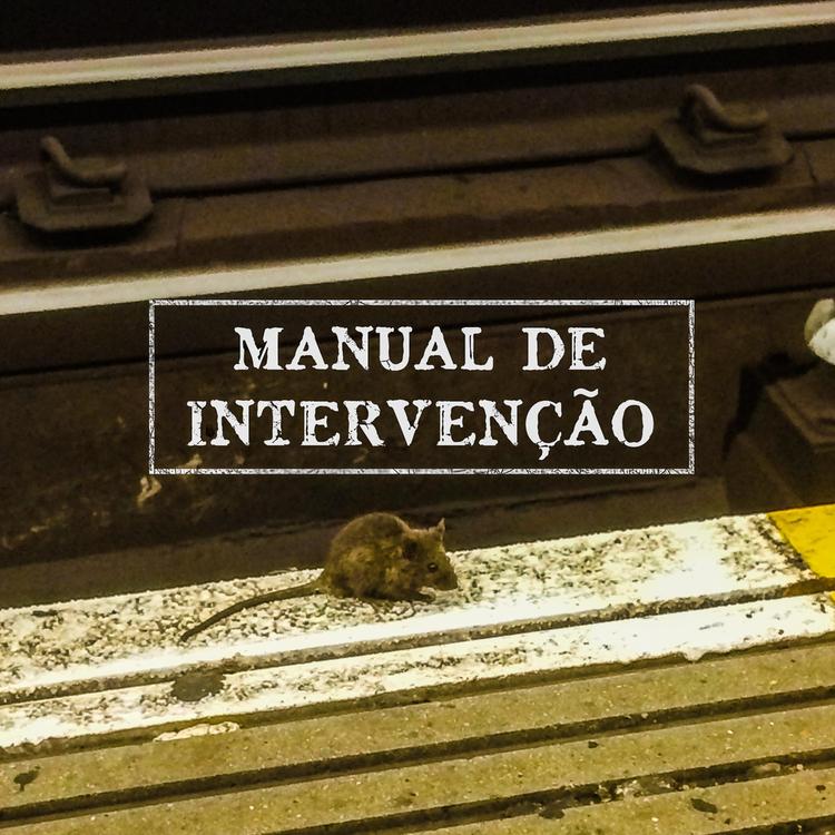 Manual de Intervenção's avatar image