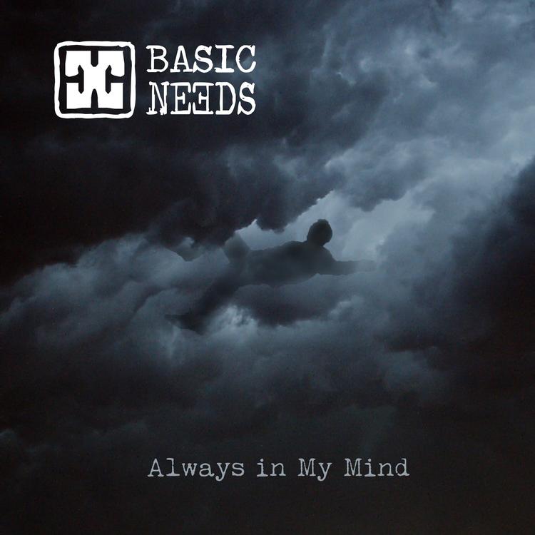 Basic Needs's avatar image