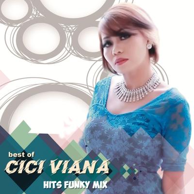 Best of Cici Viana (Hits Funky Mix)'s cover