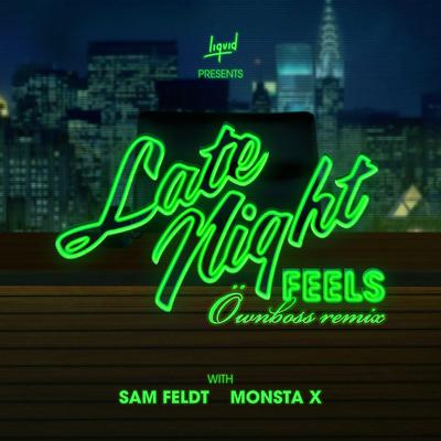Late Night Feels (Öwnboss Remix) By Sam Feldt, MONSTA X, Öwnboss's cover
