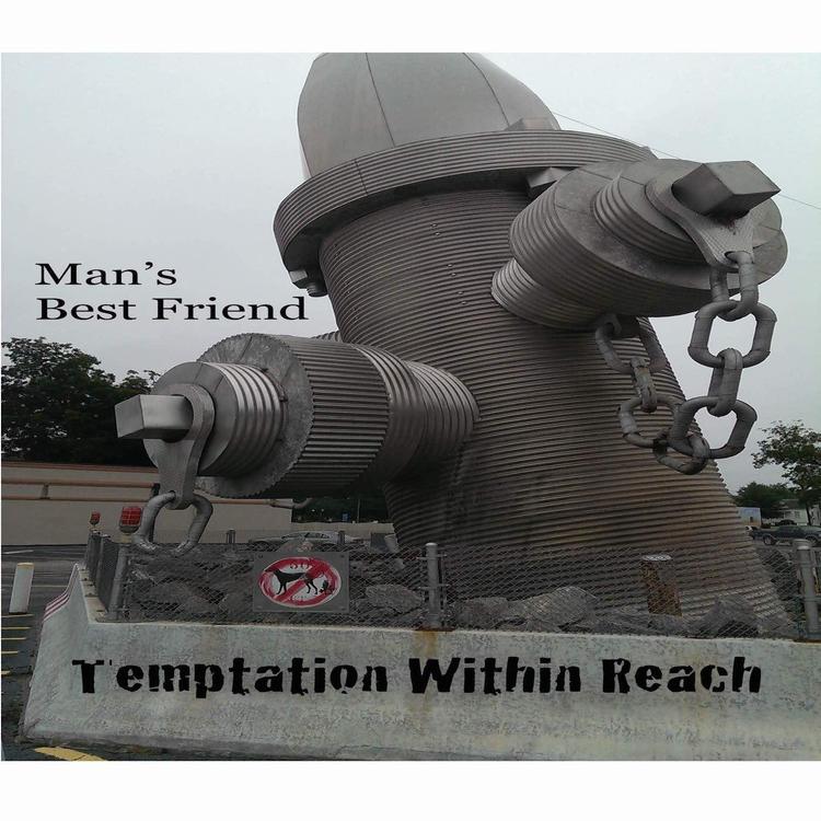 Temptation Within Reach's avatar image