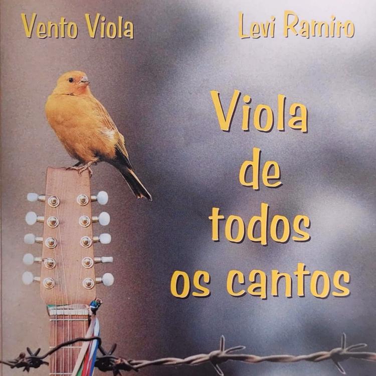 Vento Viola's avatar image