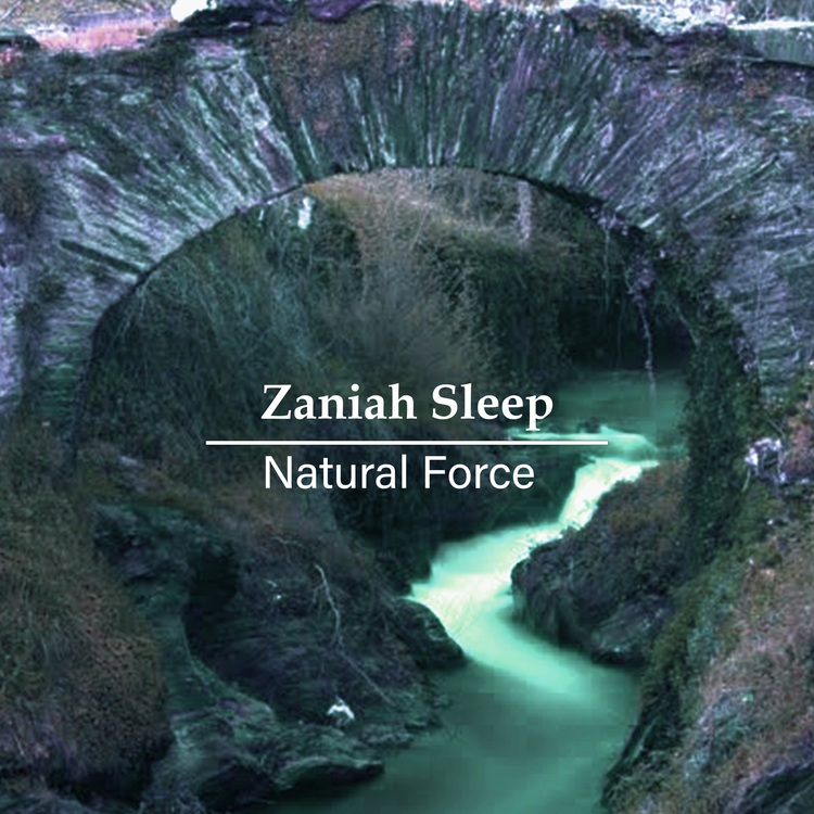 Zaniah Sleep's avatar image