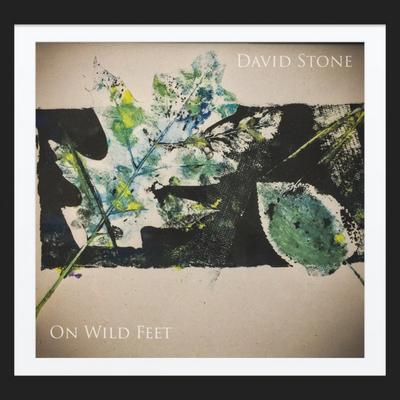 On Wild Feet By David Stone's cover