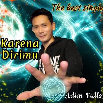 Adim Falls's cover