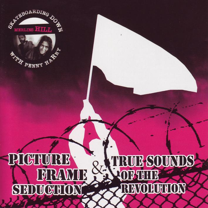 Picture Frame Seduction & True Sounds of the Revolution's avatar image