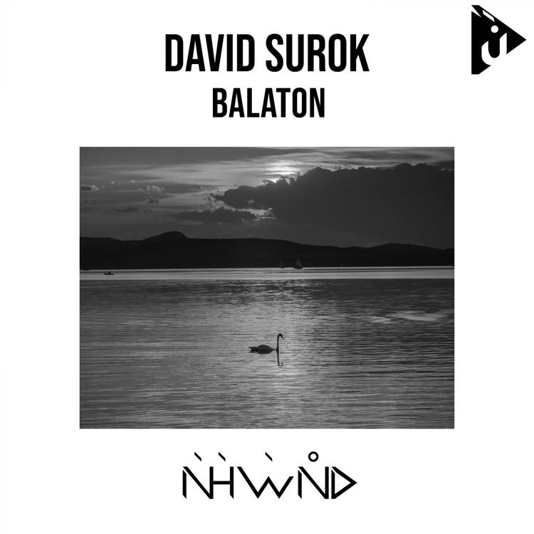 David Surok's avatar image
