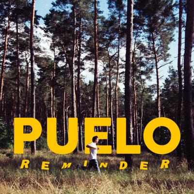 Reminder By Puelo's cover