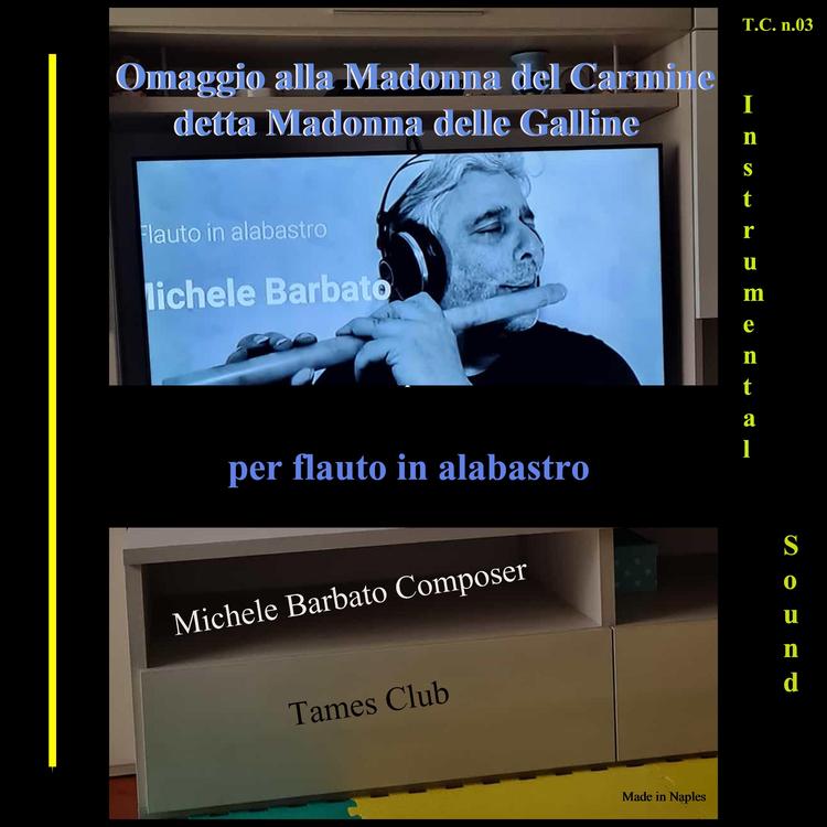 Michele Barbato's avatar image