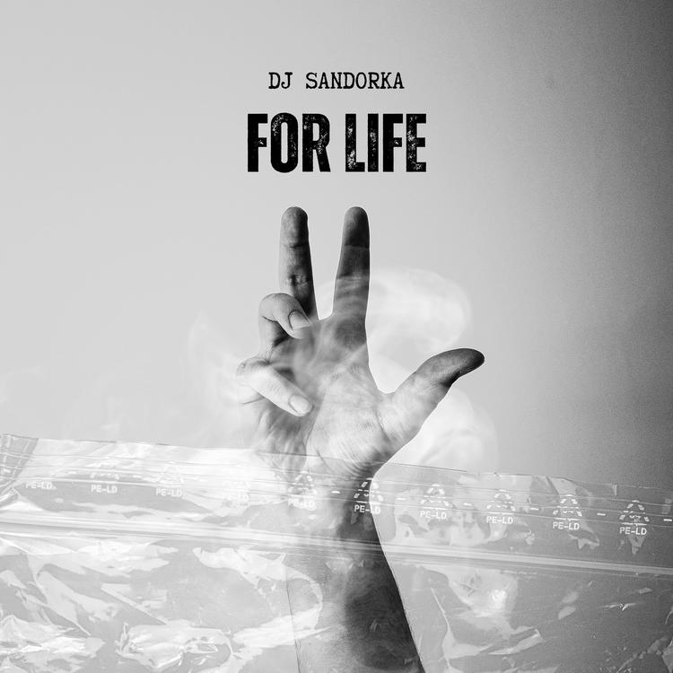 Dj Sandorka's avatar image