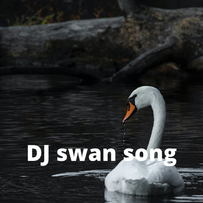 Dj Swan Song's cover