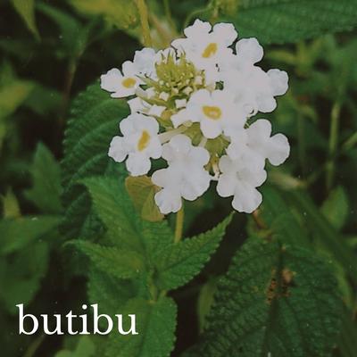 Butibu's cover