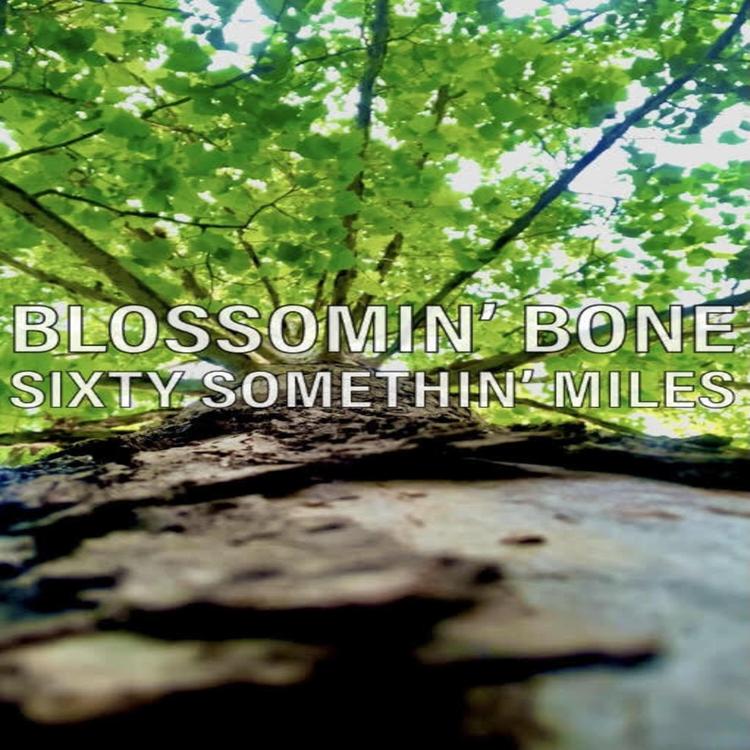 Blossomin' Bone's avatar image