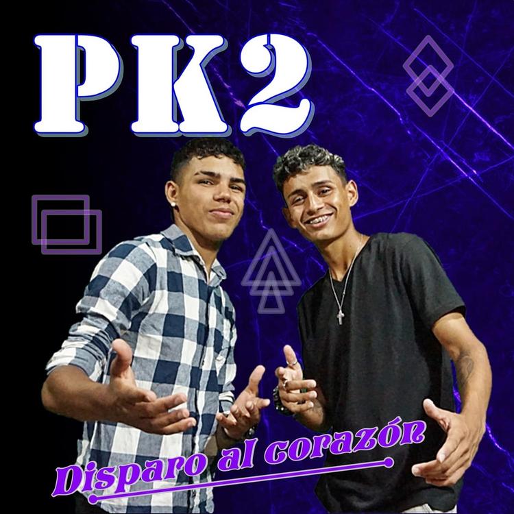 Pk2's avatar image