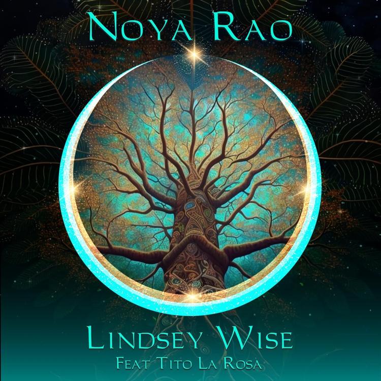 Lindsey Wise's avatar image