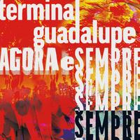 Terminal Guadalupe's avatar cover