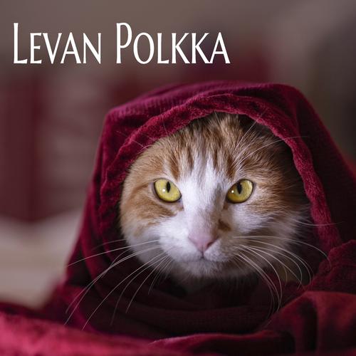 Levan Polkka's cover