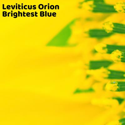 Rhopalocera By Leviticus Orion's cover