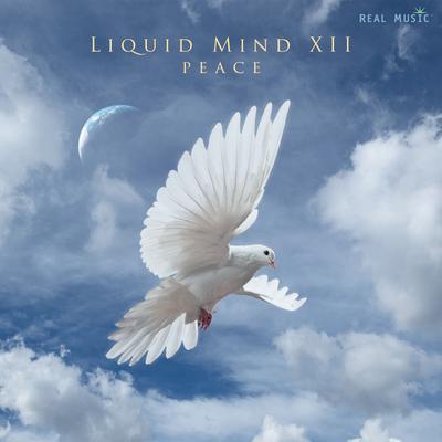 Spirit of Peace By Liquid Mind's cover
