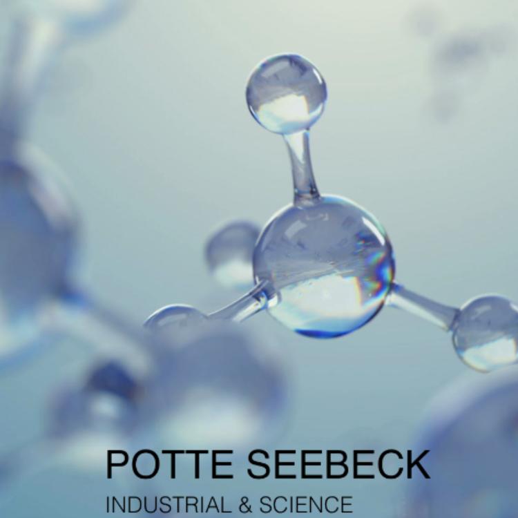 Potte Seebeck's avatar image