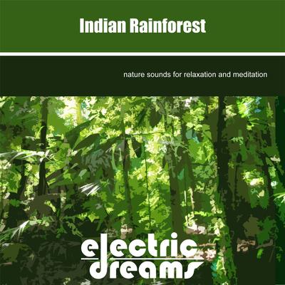 Indian Rainforest By Electric Dreams's cover