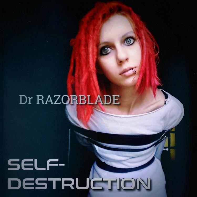 Self-Destruction's avatar image