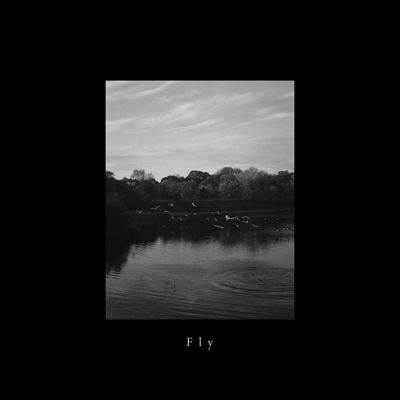 Fly By Arrowsmith's cover