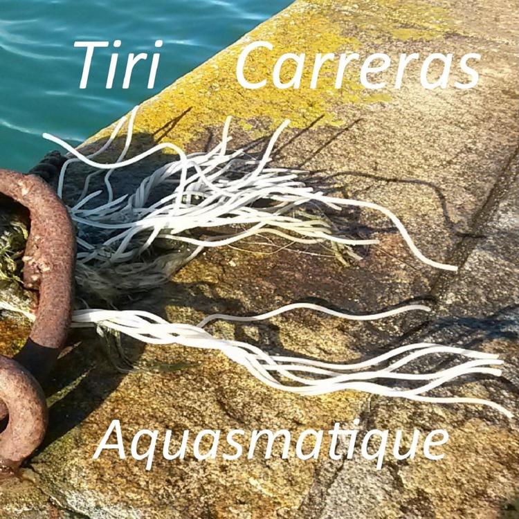 Tiri Carreras's avatar image