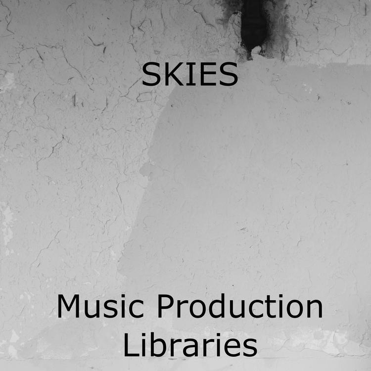 Music Production Libraries's avatar image