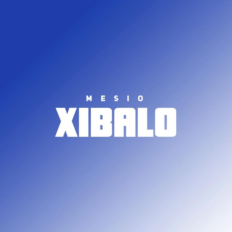 Mesio's avatar image