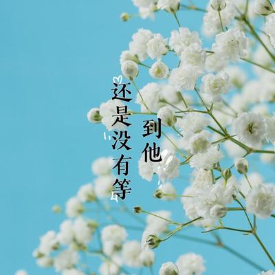 还是没有等到他's cover