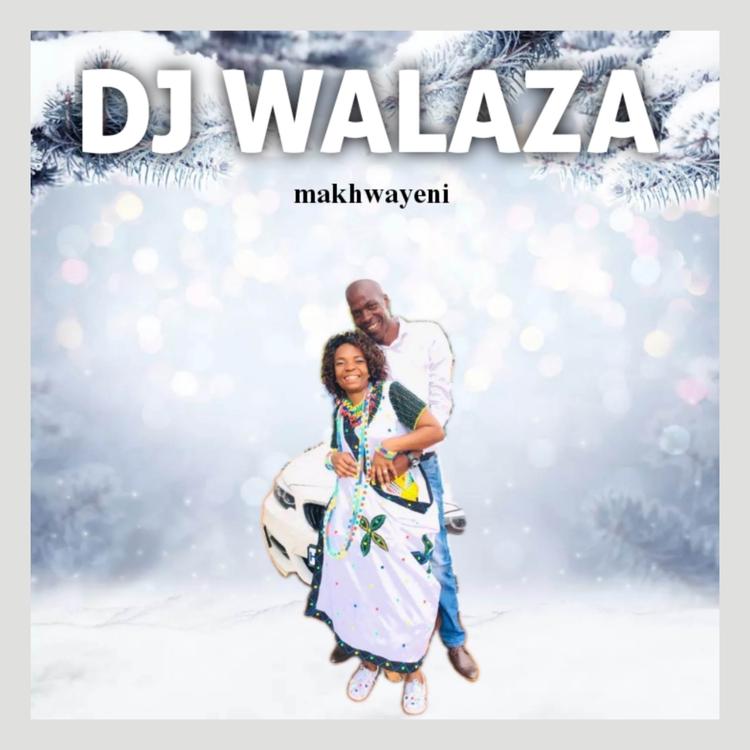 DJ Walaza's avatar image